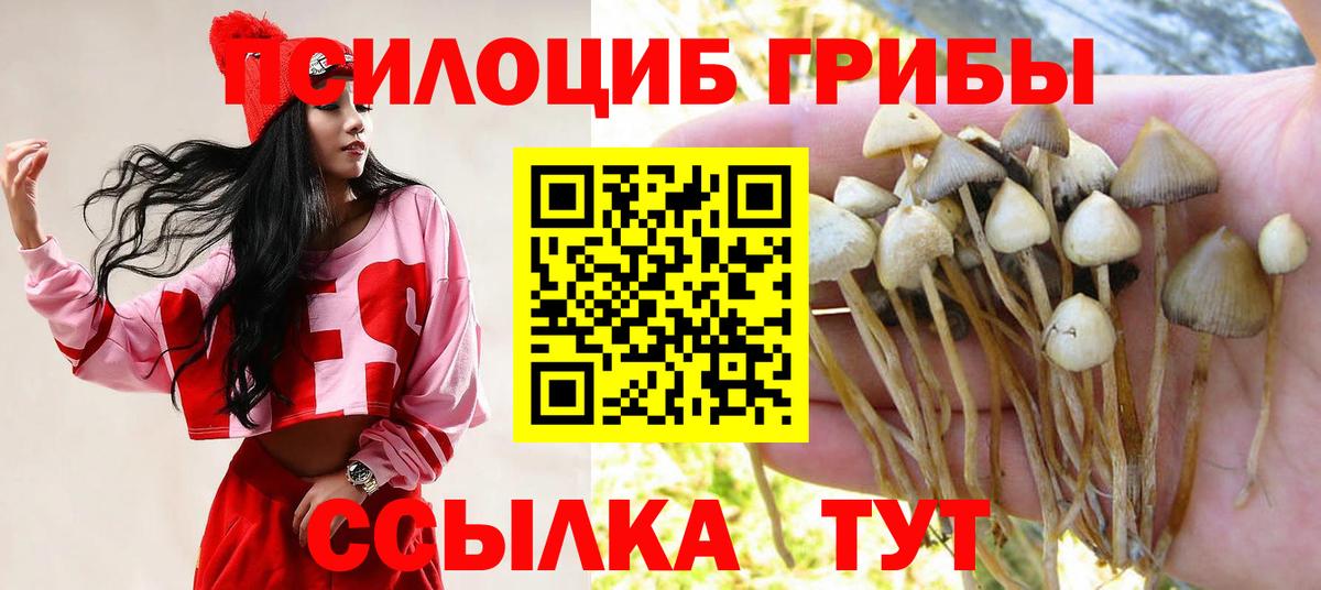 Камышлов  Галлюциногенные грибы мухоморы  как найти закладки  Вход с VPN 