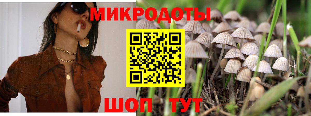 Галлюциногенные грибы Psilocybe Камышлов